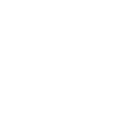 NLR_Logo_480_white